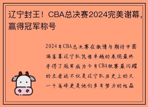 辽宁封王!CBA总决赛2024完美谢幕,赢得冠军称号